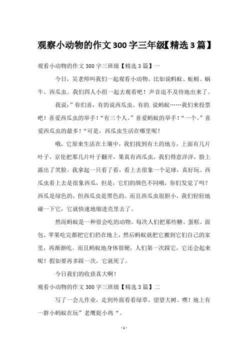 观察小动物的作文300字三年级【3篇】