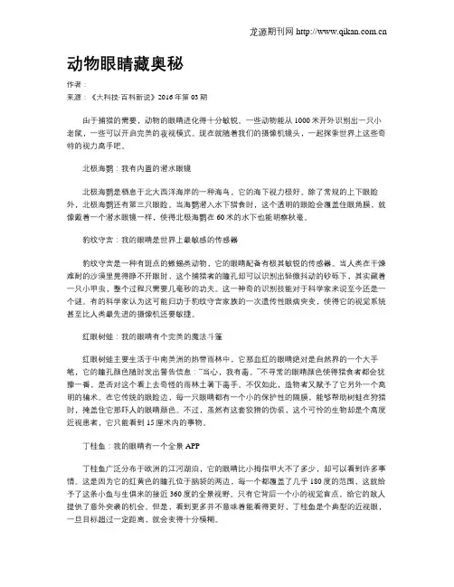 动物眼睛藏奥秘