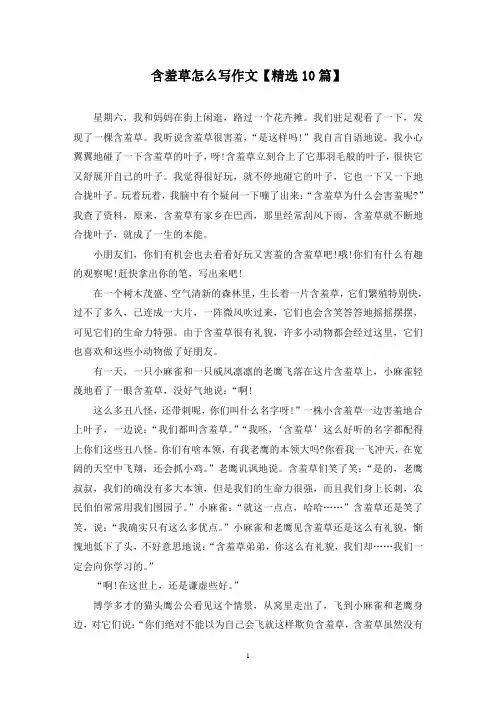 精选含羞草怎么写作文【10篇】