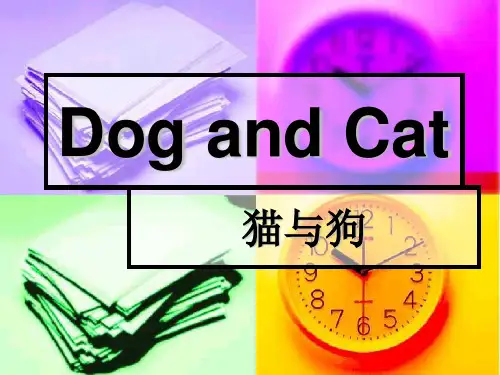 dogandcat.ppt