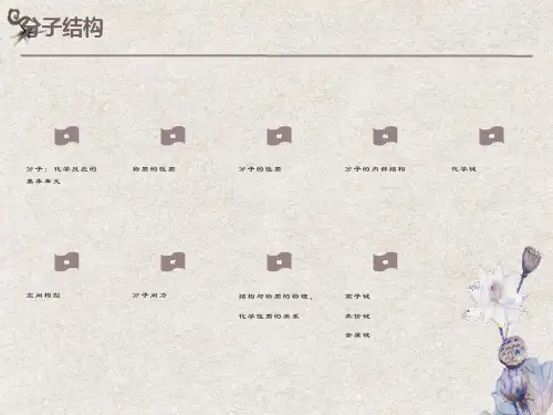 大学无机化学课件分子结构