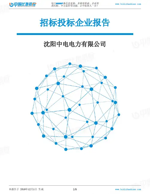沈阳中电电力有限公司-招投标数据分析报告