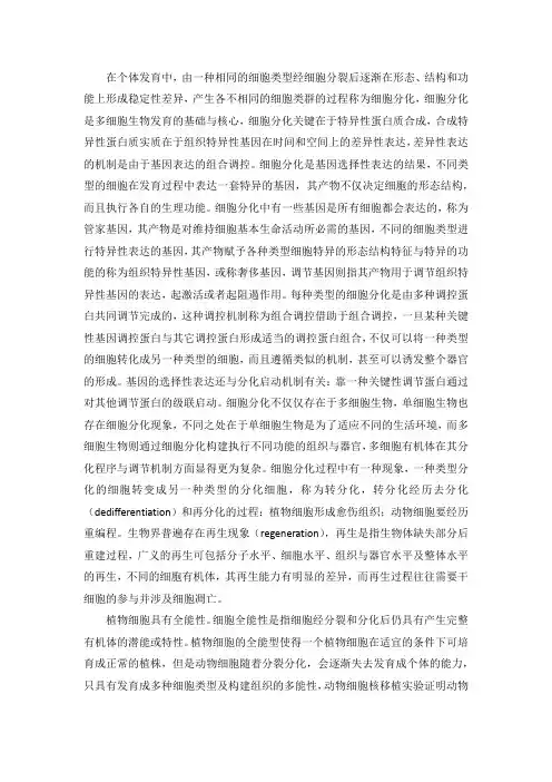 细胞分化与胚胎发育