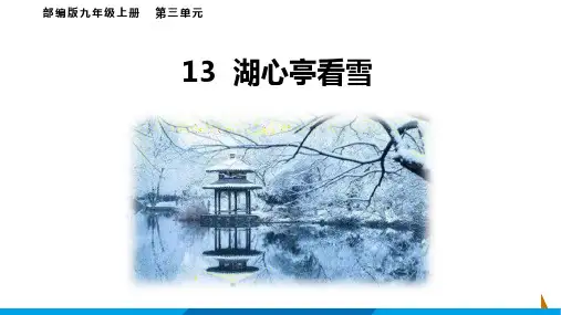 2021-2022学年部编版九年级上册《湖心亭看雪》