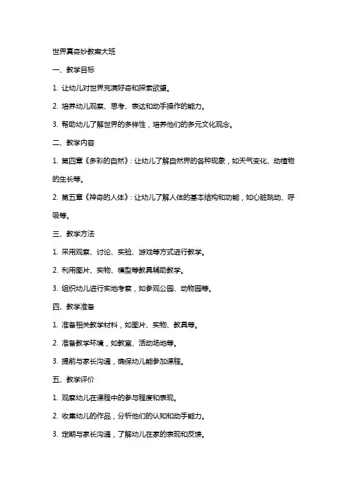 世界真奇妙教案大班