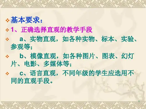 教育学直观性原则