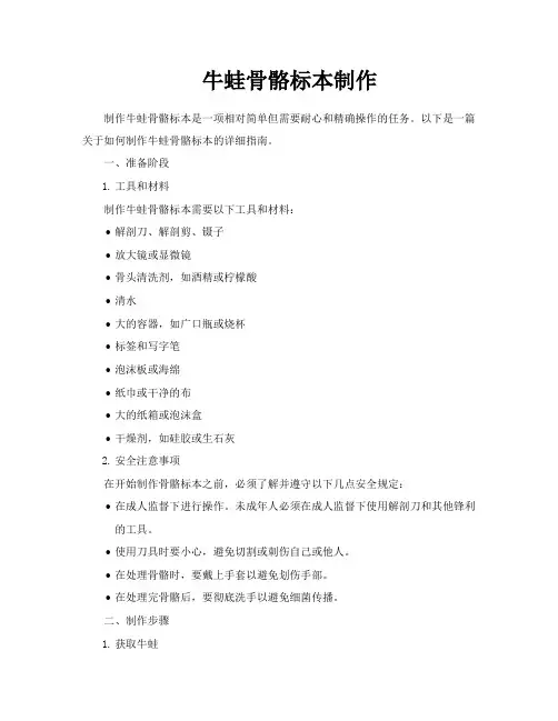 牛蛙骨骼标本制作