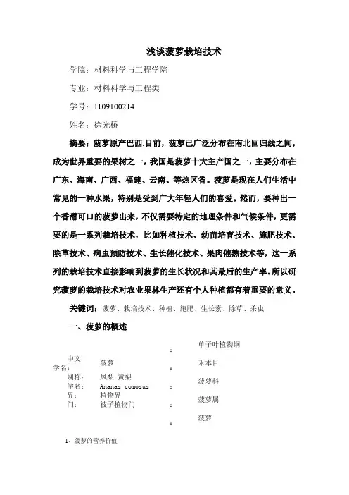 菠萝栽培技术