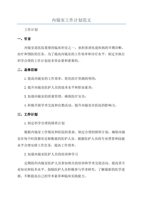 内镜室工作计划范文