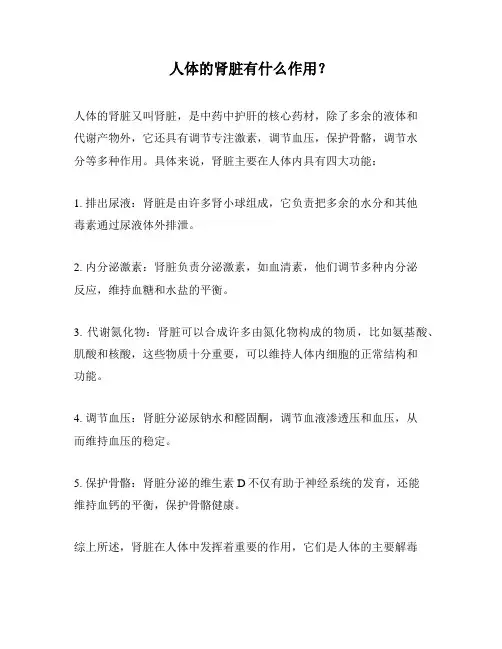 人体的肾脏有什么作用？