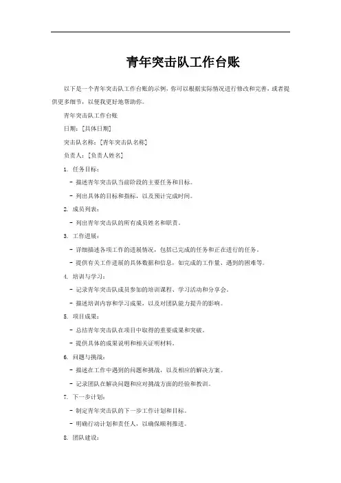 青年突击队工作台账