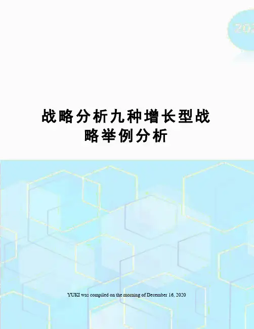 战略分析九种增长型战略举例分析