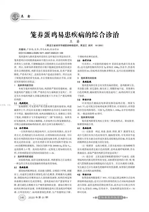 笼养蛋鸡易患疾病的综合诊治
