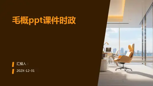 毛概ppt课件时政