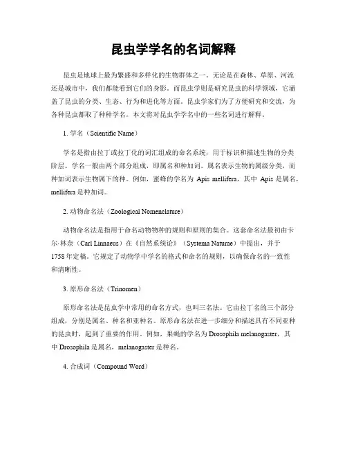 昆虫学学名的名词解释