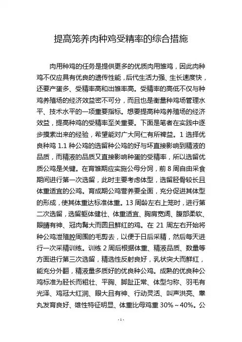 提高笼养肉种鸡受精率的综合措施