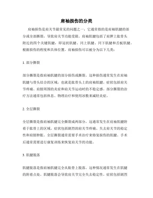 肩袖损伤的分类