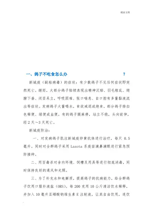 鸽子常见病治疗办法