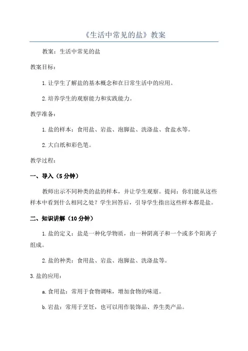 《生活中常见的盐》教案