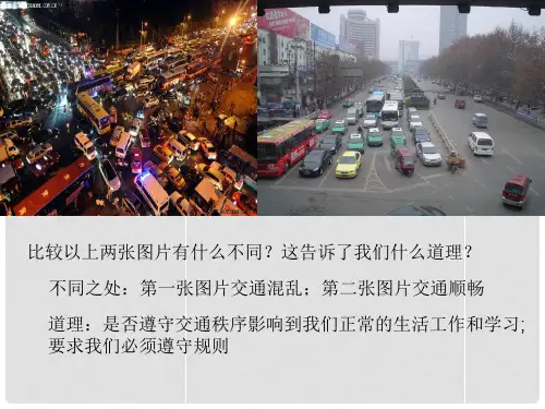 七年级政治下册 第六课 无序与有序课件 教科版
