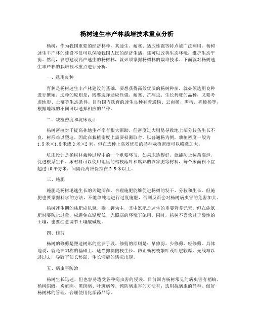 杨树速生丰产林栽培技术重点分析