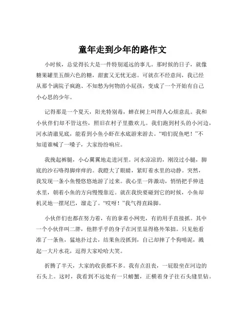 童年走到少年的路作文