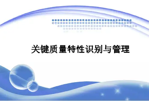 特殊特性及FMEA