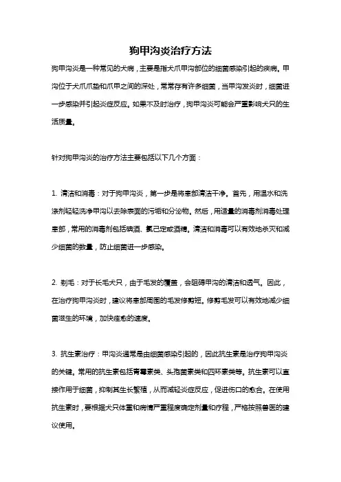 狗甲沟炎治疗方法
