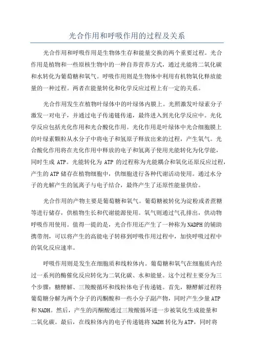 光合作用和呼吸作用的过程及关系