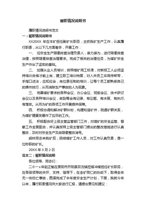 履职情况说明书