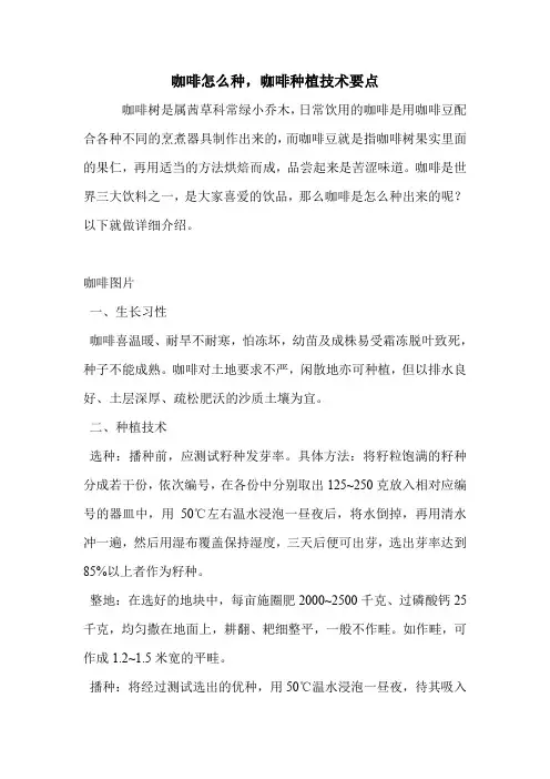 咖啡怎么种,咖啡种植技术要点.doc