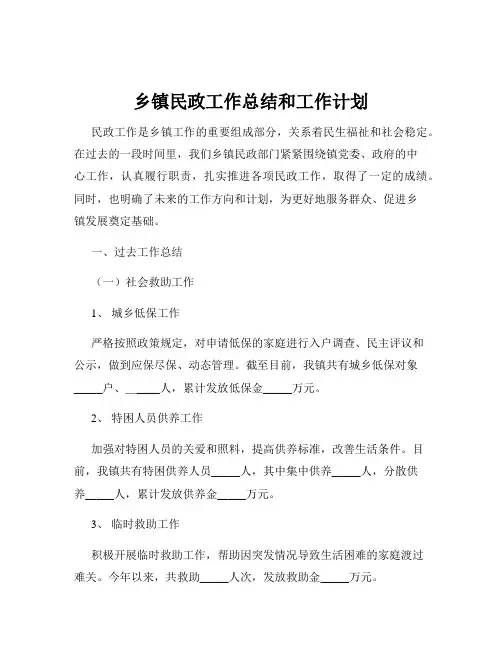 乡镇民政工作总结和工作计划