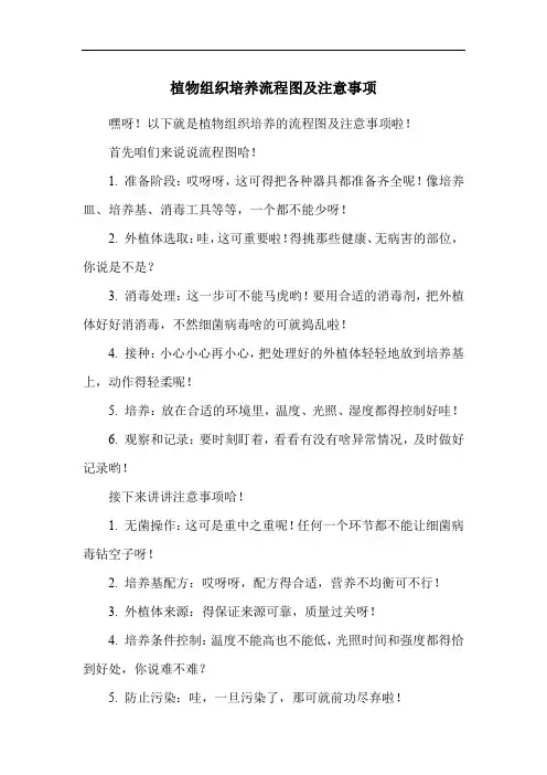 植物组织培养流程图及注意事项