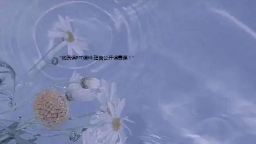 部编一年级美术《第13课 叶子片片》陆经鑫PPT课件 一等奖新名师优质课获奖比赛公开苏少