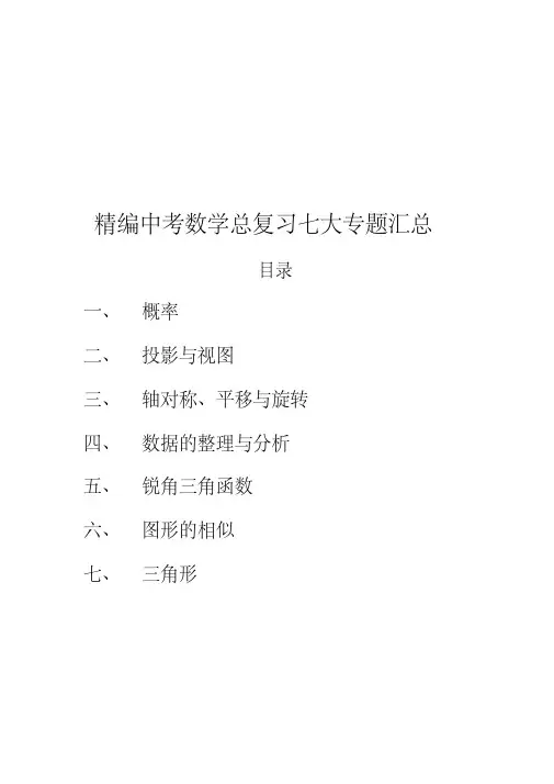 精编中考数学总复习七大专题汇总