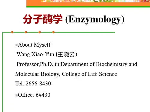 分子酶学(Enzymology)