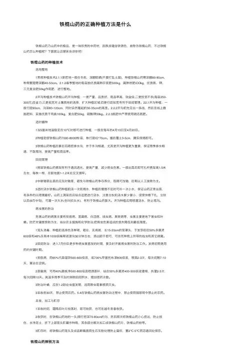 铁棍山药的正确种植方法是什么