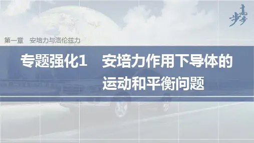 专题强化 安培力作用下导体的运动和平衡问题