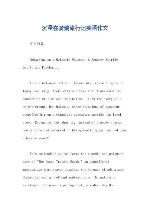 沉浸在骑鹅旅行记英语作文