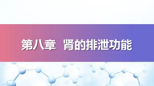 尿液的生成与排放—尿生成的调节(生理学课件)