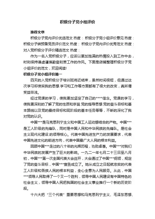 积极分子党小组评价