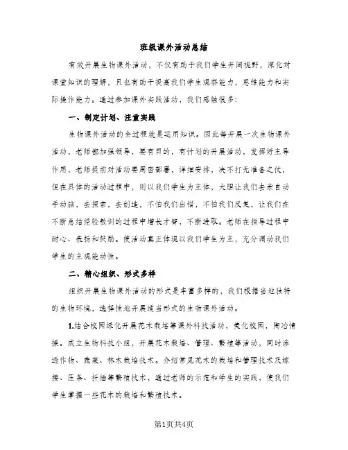 班级课外活动总结（2篇）