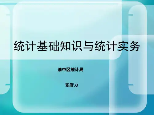 统计基础知识与统计实务