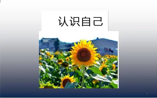 六年级上册心理健康教育ppt课件-认识自己-全国通用