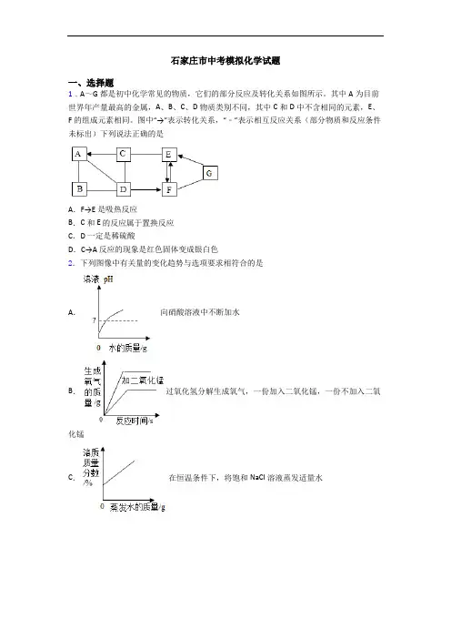 石家庄市中考模拟化学试题