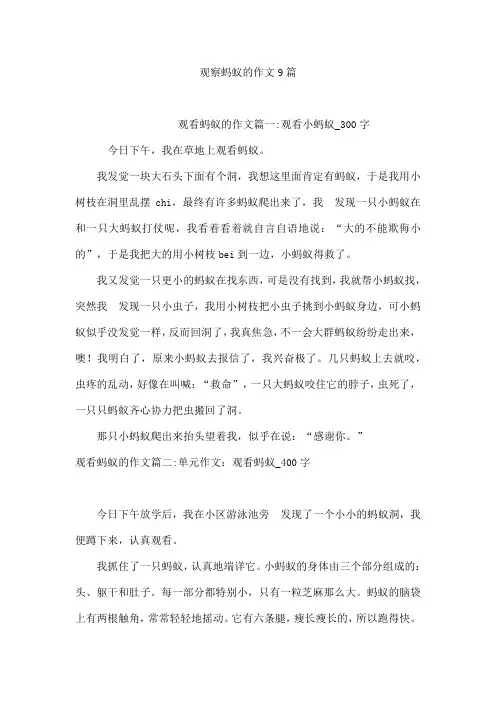 观察蚂蚁的作文9篇