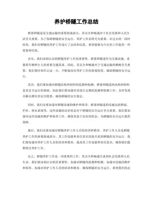 养护桥隧工作总结