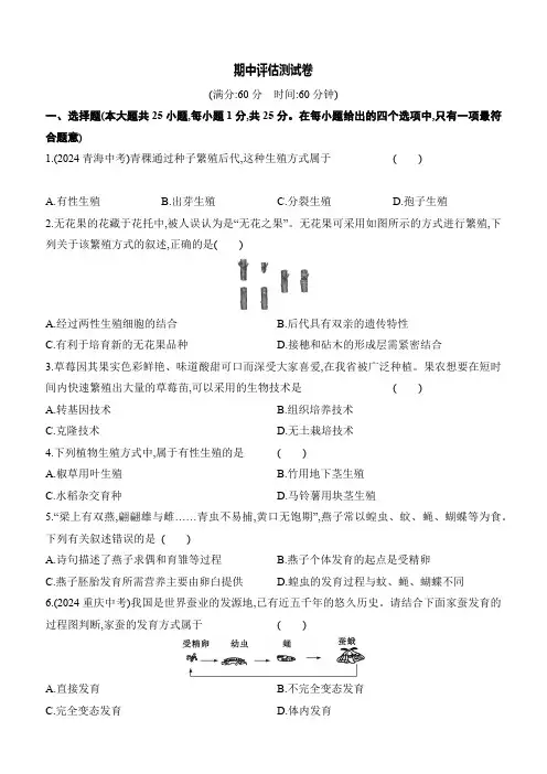 2024-2025学年八年级下册 期中评估测试卷(含解析)