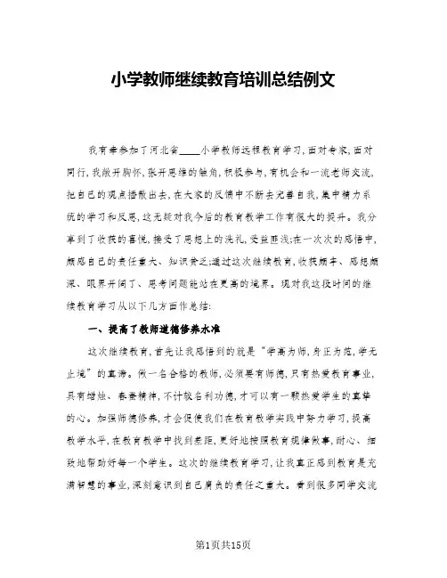 2024年小学教师继续教育培训总结例文(6篇)