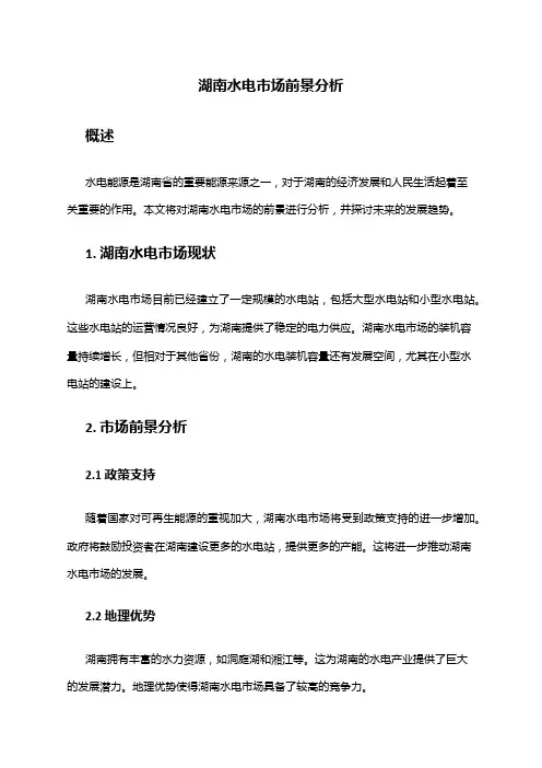 2024年湖南水电市场前景分析